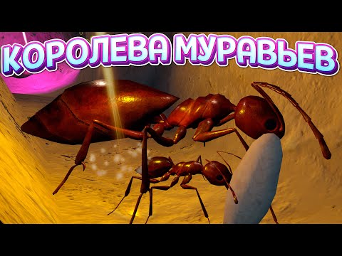 Видео: Я КОРОЛЕВА МУРАВЬЕВ ( AntQueen 3D )