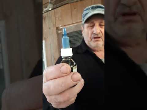 Видео: Продолжаем готовить голубей к зиме.Пропаиваем от глистов,брызгаем от пероедов.