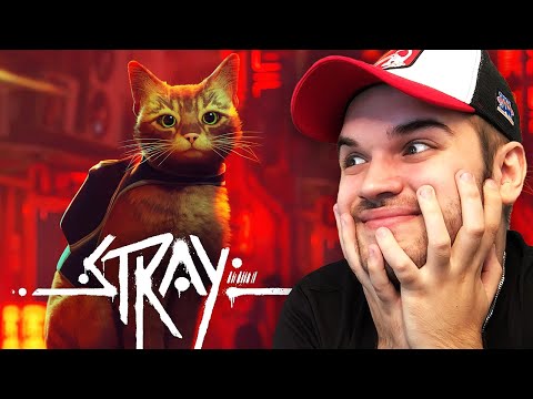 Видео: ЈА ВРТИМЕ: STRAY (FULL GAME)