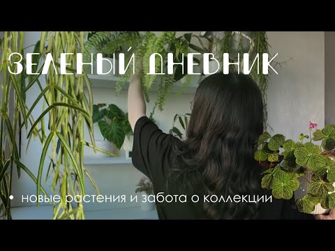 Видео: Зеленый дневник апреля