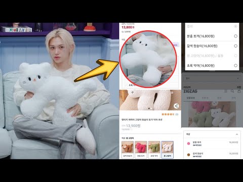 Видео: «Эффект Феликса»: почему эта подушка с изображением кошки раскуплена по всей Корее!