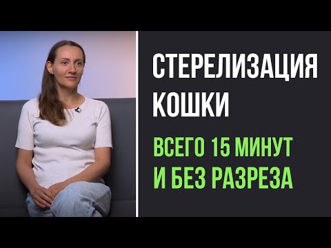 Видео: Топ-50 вопросов ветеринару о кастрации (стерилизации) кошек