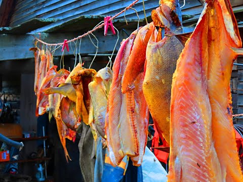 Видео: БАХТА, 10 ДНЕЙ КАЙФА |  КОПТИМ РЫБУ