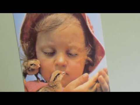 Видео: ОТКРЫТКИ СССР