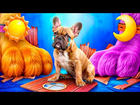 Видео: Мы построили секретный домик! Кетнеп vs Догдей! Poppy Playtime 3