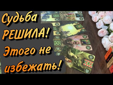 Видео: 🪬УЖЕ ПРЕДРЕШЕНО‼️Неизбежное на ПОРОГЕ❗️