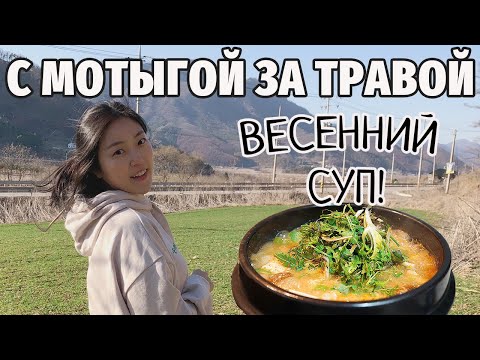 Видео: ВЕСЕННИЙ СУП прямо с поля! / На даче в Южной Корее