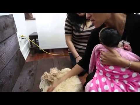 Видео: Съемка новорожденных детей  Фотосессия в студии