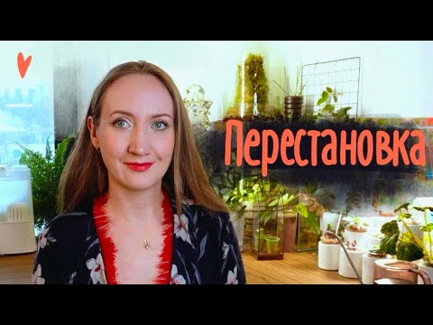 Видео: ЦВЕТОЧНАЯ перестановка