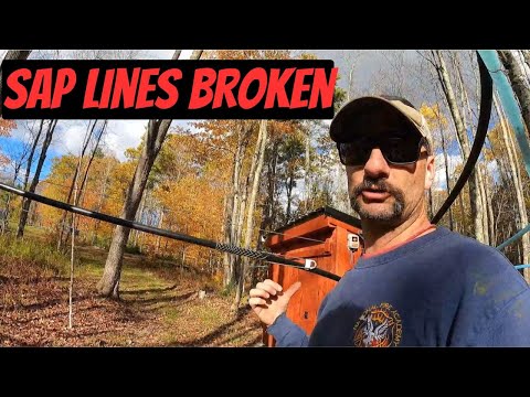 Видео: Линии сока разорваны и лежат на земле