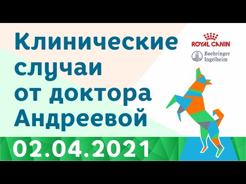 Видео: Клинические случаи от доктора Андреевой 5.04.2021