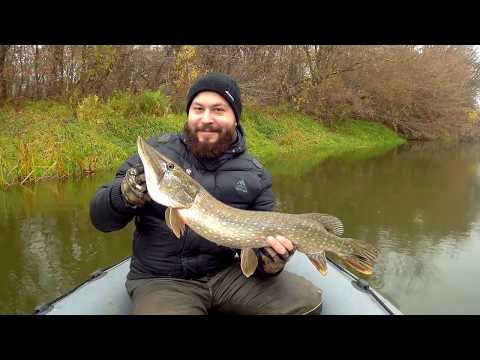 Видео: Ловля окуня на джиг. Щука на твичинг. Река Сейм