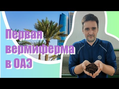 Видео: Первая вермиферма в ОАЭ. Чернозем в пустыне. Разведение червей в пустыне. Earthworms in UAE. Dubai.