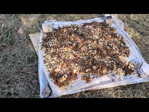Видео: Обсушка рамок и забруса .