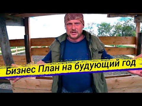 Видео: Новый бизнес план на ближайшее время. Всё отказываемся от свиней и разводим быков. Жизнь в деревне.