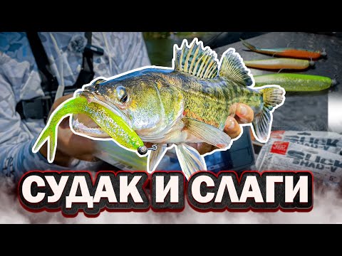 Видео: Судак на СЛАГИ в небольшой реке | Lucky John Slick shad V