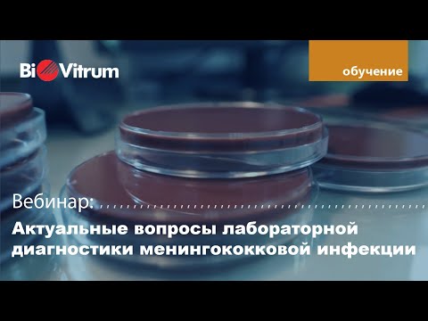Видео: Актуальные вопросы лабораторной диагностики менингококковой инфекции