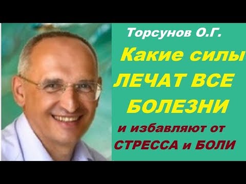 Видео: Торсунов О.Г. Какие силы лечат все болезни и избавляют от стресса и боли. Учимся жить.