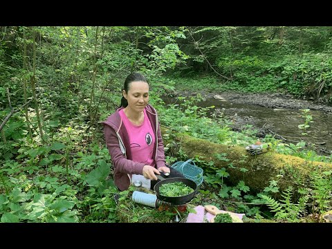 Видео: Готую у лісі (серія 11). Збираю борщівник з яглицею та готую шакшуку /ASMR
