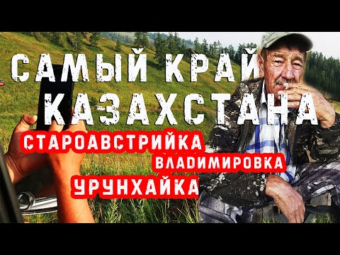 Видео: 🌍 Самый край Казахстана. СтароАвстрийка. Владимировка. Урунхайка.