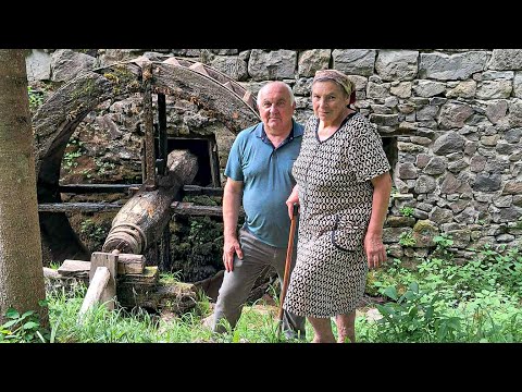 Видео: Млин у Карпатах, який працює понад 200 років, та історія жінки, що його зберігає