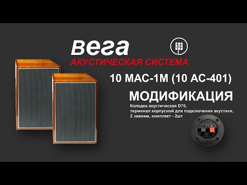 Видео: ВЕГА 10 МАС-1М (10 АС-401) БРЗ. #малоярославец