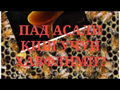 Видео: АСАЛНИНГ КРИСТАЛЛАНИШИ ВА ПАД (ШИРА) АСАЛИ