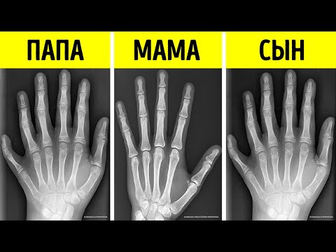 Видео: 30 коротких фактов, о которых вы не слышали