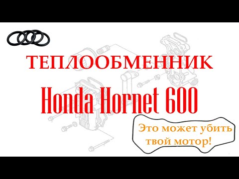 Видео: Хонда Хорнет 600. Про теплообменник. Важно знать!!!