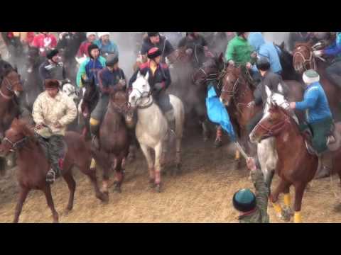 Видео: Сарыағаш ауданы Сман ағаның көкпары Часть 2