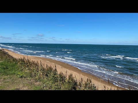 Видео: Влог Прогулка к морю, мой сад,болтаю🌊🌹🌳🍁🍃(видео от 26 октября)