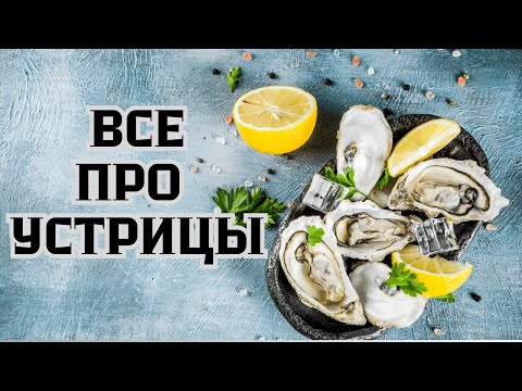 Видео: Устрицы. Как выбрать. Как открыть + лучшие лайфхаки!