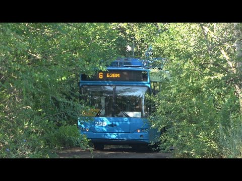 Видео: Лесной троллейбус или самая необычная конечная для электротранспорта