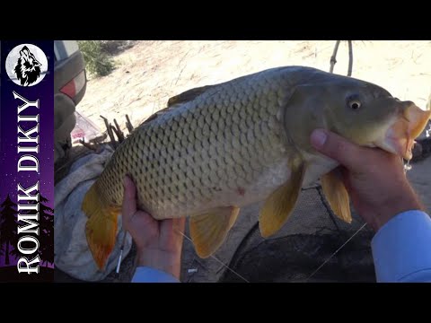 Видео: Как мы рыбачили в полнолуние. Июль 2022г.