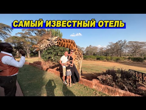 Видео: Giraffe Manor усадьба жирафов Кения / Самый известный отель и завтрак с жирафами в Кении Жираф Манор