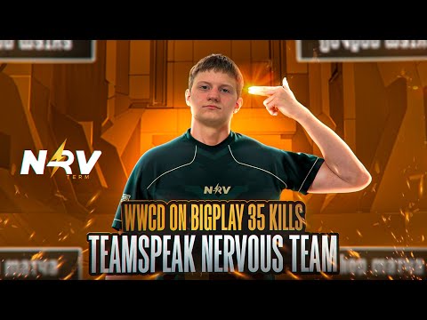 Видео: ВЫИГРАЛИ ТУРНИР ОТ BIGPLAY ПРОТИВ PMSL EU КОМАНД | TEAMSPEAK NERVOUS TEAM| BETS 🦇 