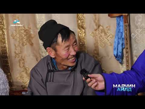 Видео: [ Малчин айлд ] нэвтрүүлэг #45 Сэлэнгэ аймгийн Түшиг сумын малчин Ж.Үржинханд