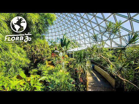 Видео: Они превратили старый карьер в крытый тропический лес