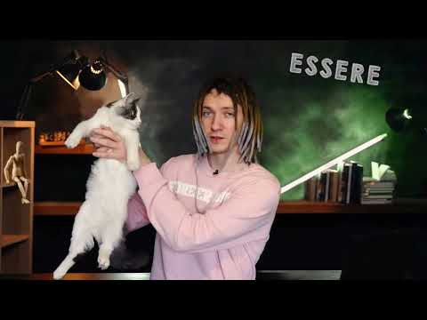 Видео: Глагол essere. Кратко и быстро. Итальянский язык для начинающих #урокиитальянского