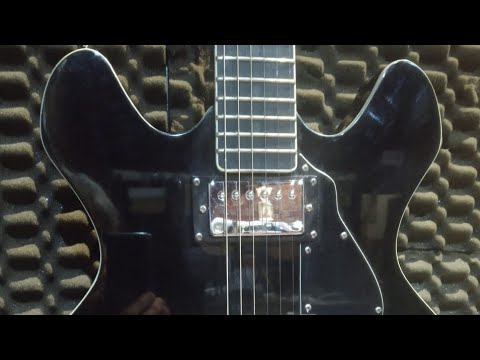 Видео:  Гитарное и не только все об инструментах от Олега Ратушного. Stagg Silveray Svy-533 Bk.51 Вып 2025.