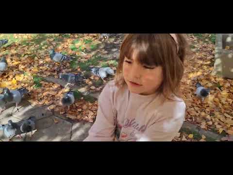 Видео: ХД (1839) ДЯДО И ВНУЧКИ: ДА НАХРАНИМ ГЪЛЪБИТЕ (2/5) І пастор Митко ДИМИТРОВ І МДМ