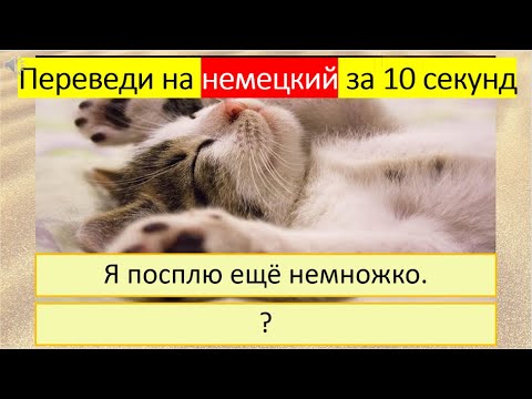 Видео: Тренируемся переводить глагол «спать» на немецкий язык в разных грамматических временах. 282