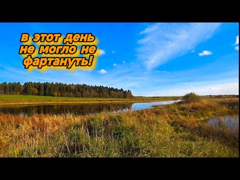 Видео: ВЫБИТЫЕ МАСТЕРСКИЕ, ДЖЕКПОТ КОЛЯНА ПОД КОНЕЦ КОПА . МЕТАЛЛОКОП ОСЕНЬ 2024