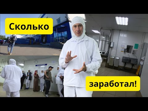 Видео: Вахта - ставке 3500 на пищевом производстве Мr.food/ 45 отработанных смен