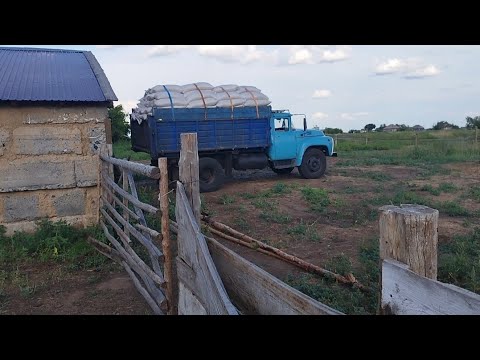 Видео: Үйге жем келді!!!
