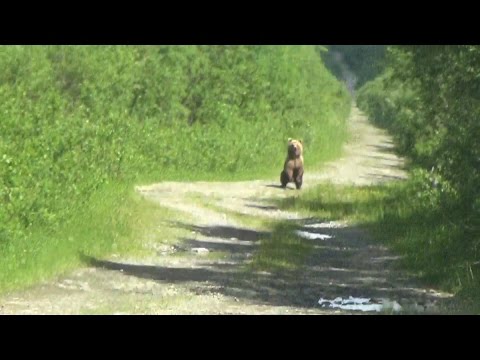 Видео: Косьва 2016