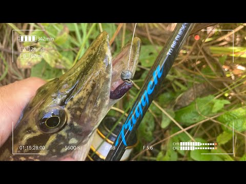 Видео: Metsui Trigger S562XUL. Он просто создан для Наноджига