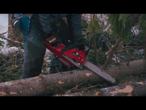 Видео: Тест профессиональной бензопилы Geos CSP351