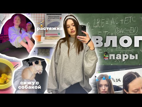 Видео: влог* учеба,пары в универе и практика📚,стретчинг с подругой🤸🏽‍♀️,сижу с собачкой🐶