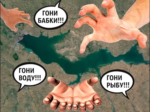 Видео: На дне: кто спасёт Цимлянское море от ненасытных потребителей?